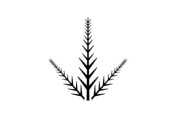 Fir Branch Christmas Vector SVG Graphics