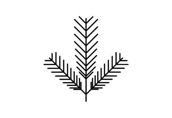 Fir Branch Vector Graphic