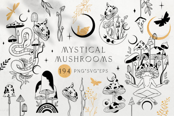 Mystical Mushroom SVG PNG Graphic Bundle: A Practical Review for Digital Product Creators
