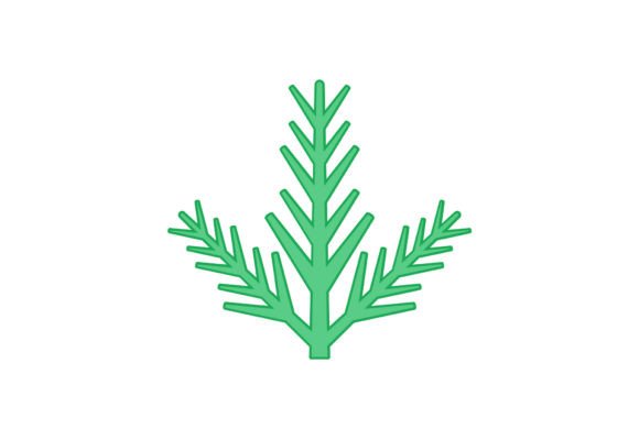 Pine Branch Vector SVG for Graphics and Illustrations